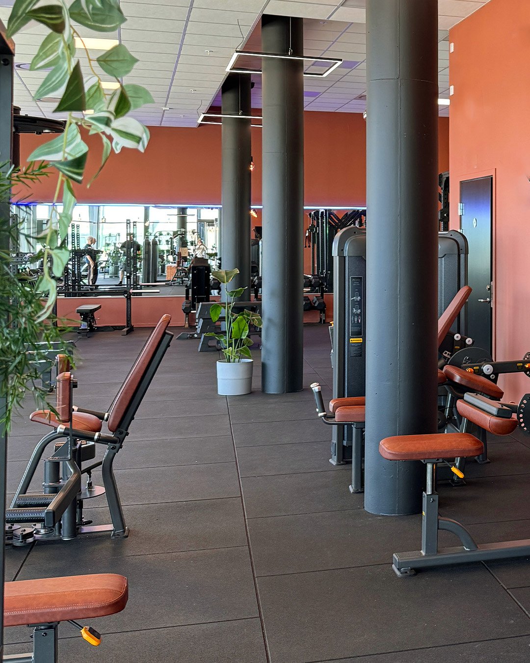 Ljus och modern gymmiljö med träningsmaskiner, fria vikter och gröna växter.