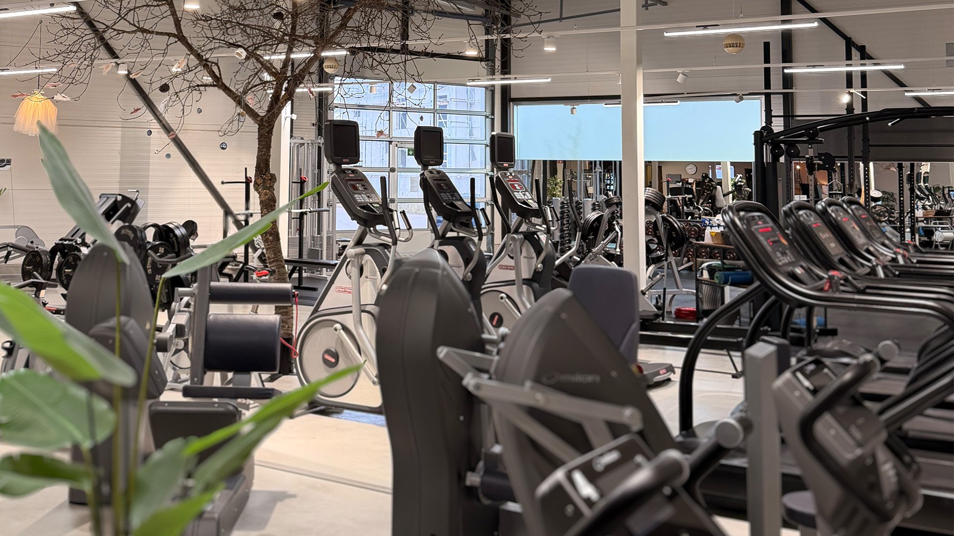 HP-Hörby-gym-anläggning
