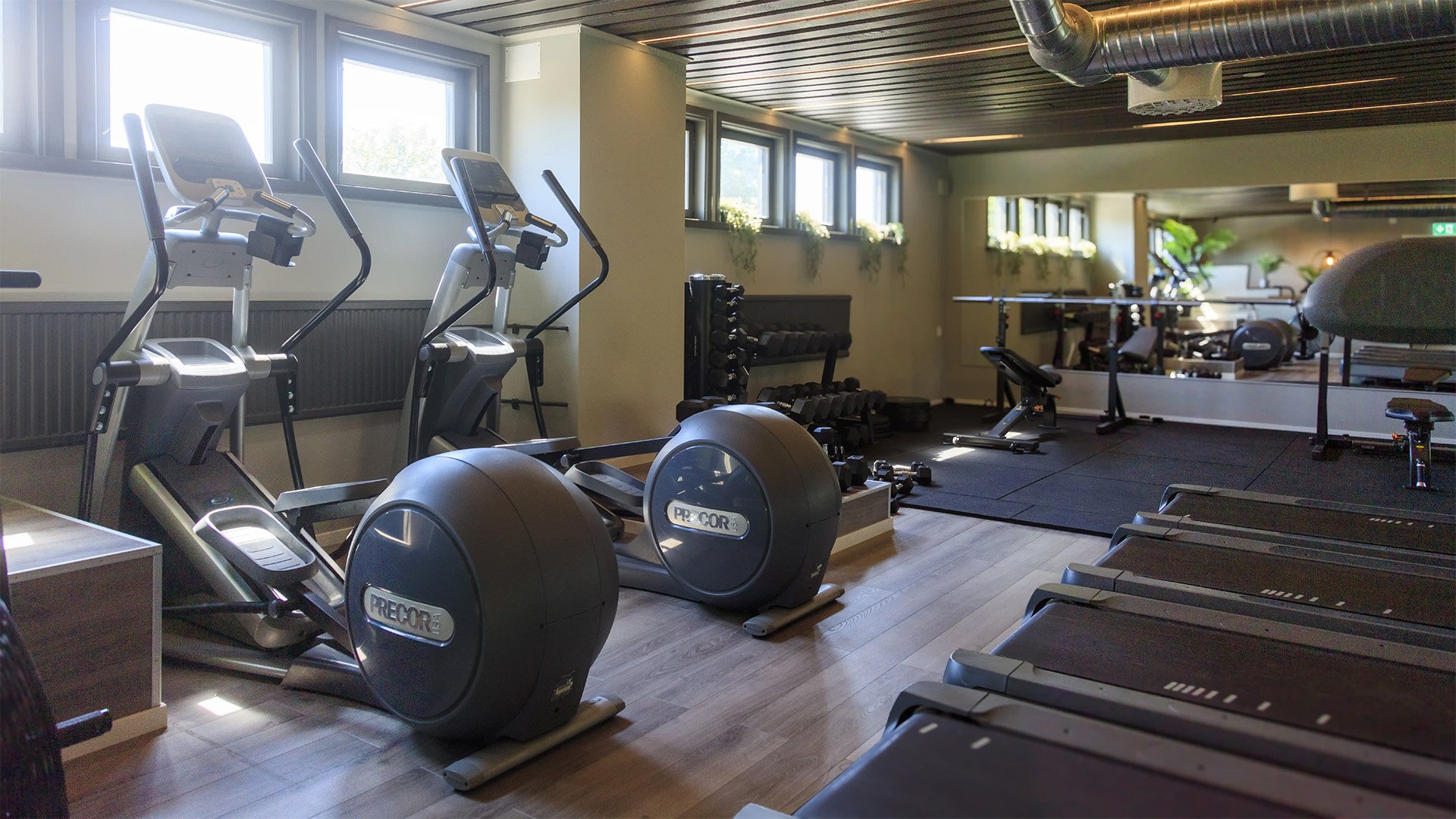 HP-Tyringe-cardio
