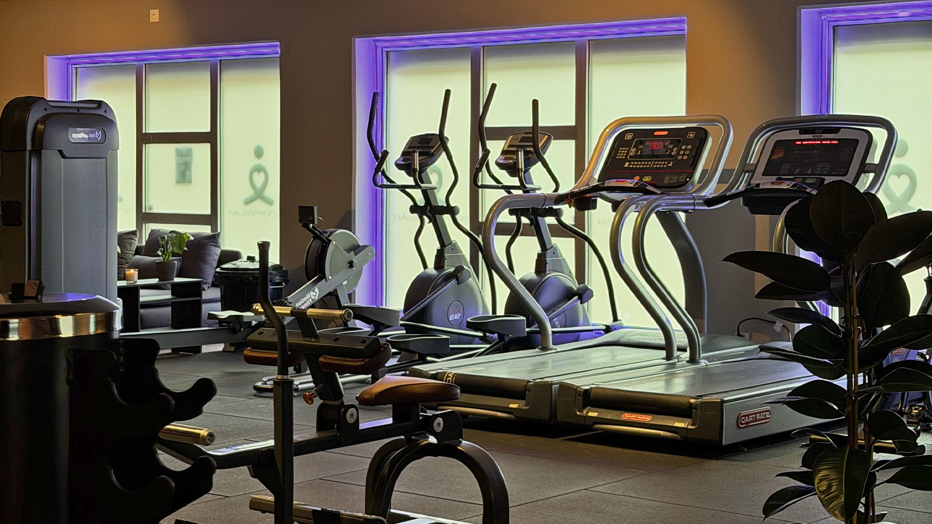 Gymmiljö med konditionsmaskiner, träningsutrustning och gröna växter.