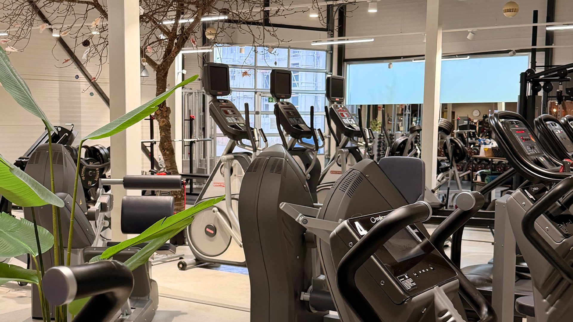 Modern gymmiljö med konditionsmaskiner, speglar och gröna växter.