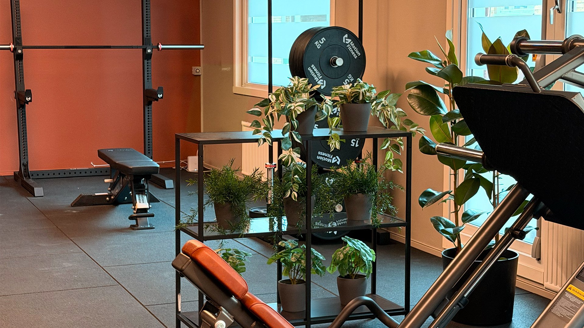 Gymmiljö med styrketräningsutrustning, fria vikter