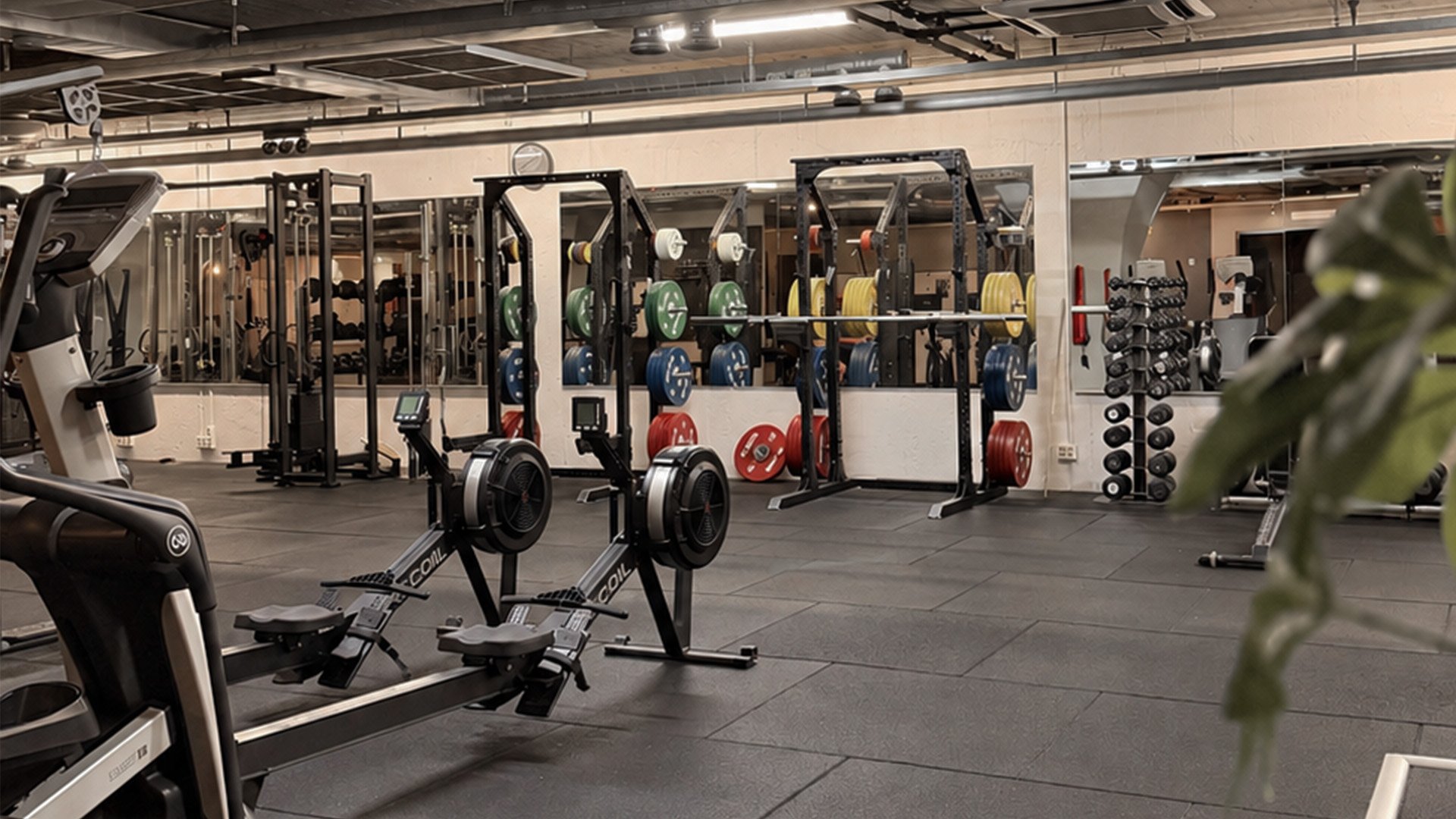 HP_Malmö-city_gym