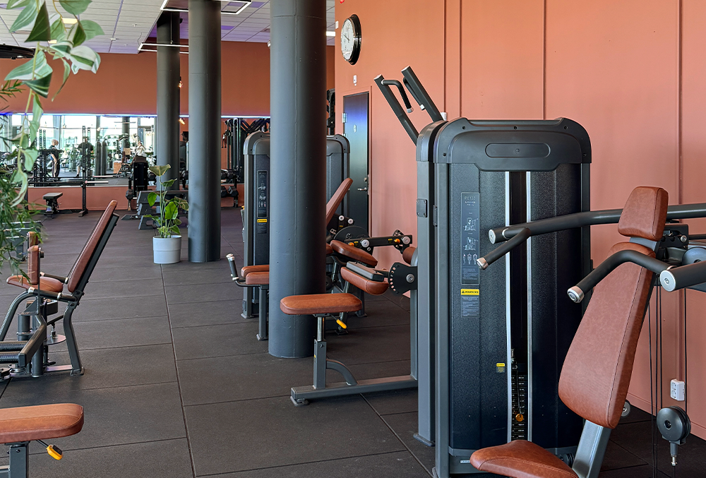 halsoprofilen-vastra hamnen malmo-gym-styrketraning-1000x667