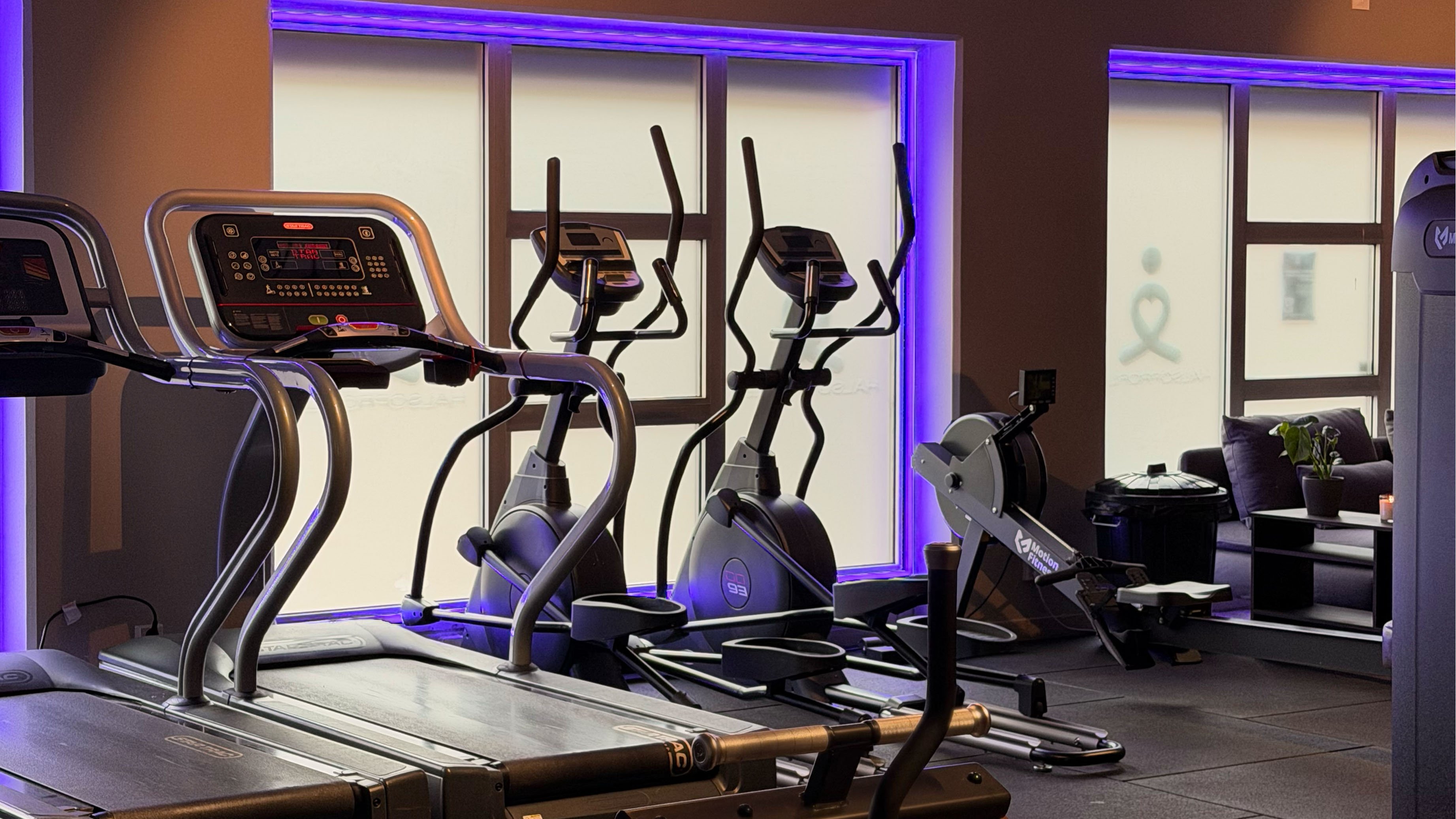halsoprofilen-vittsjo-gym-lopband-crosstrainer