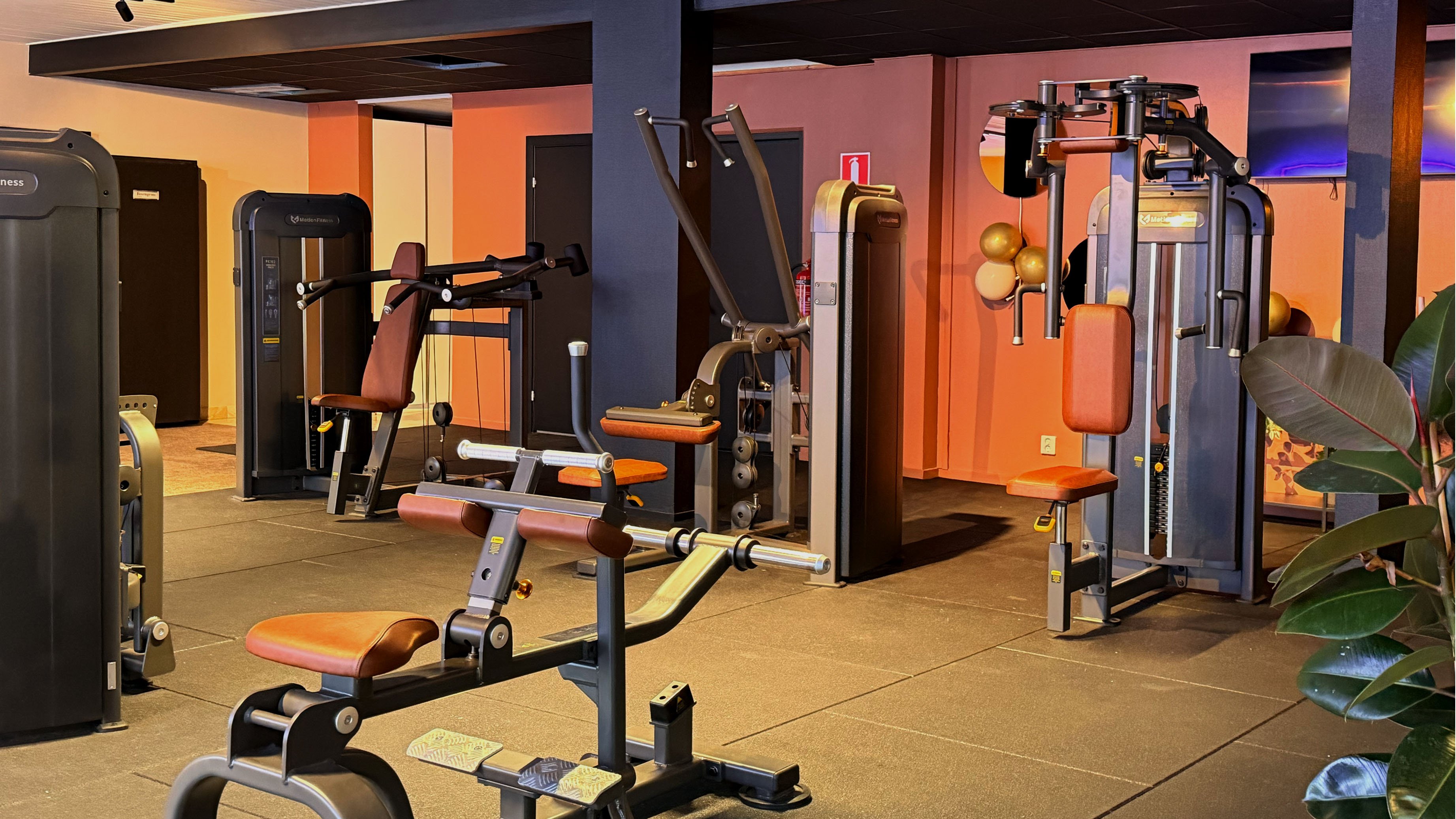halsoprofilen-vittsjo-gym-styrkemaskiner