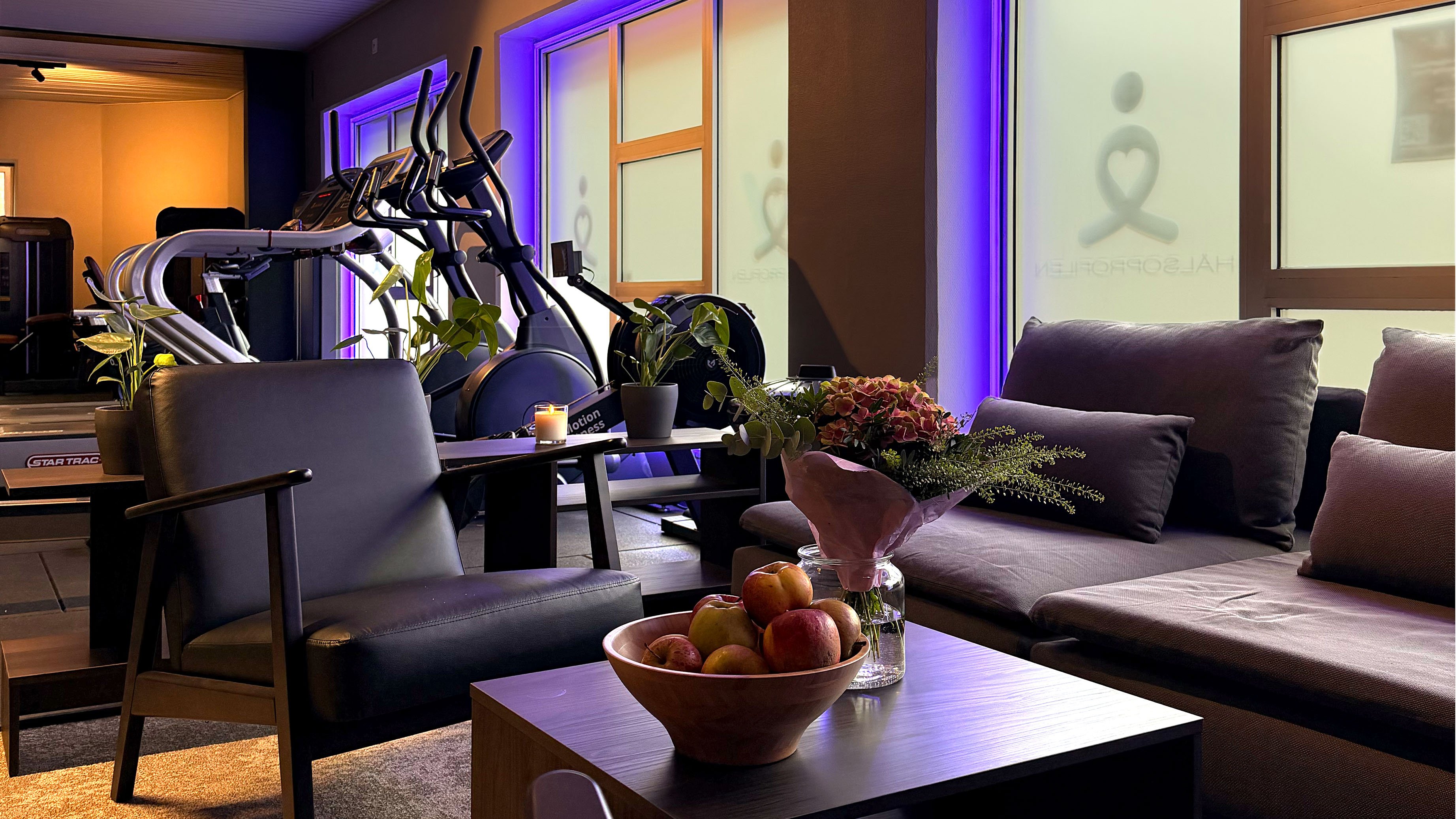 halsoprofilen-vittsjo-traningsanlaggning-lounge