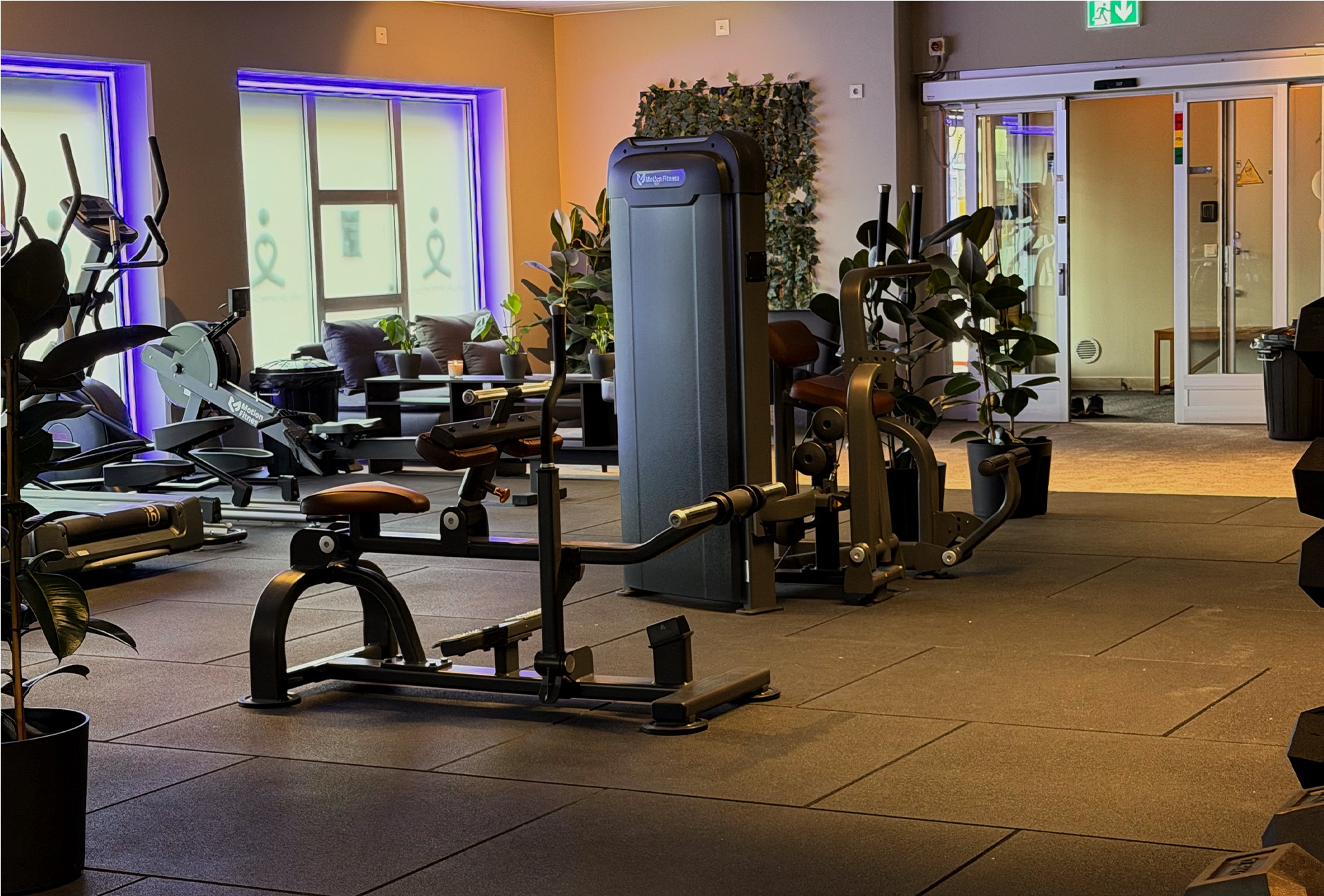 Modern gymmiljö med styrketräningsmaskiner, fria vikter